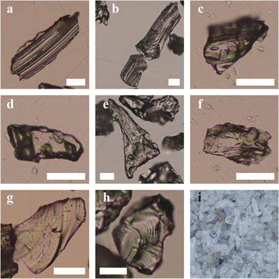 Reconstruction of submarine eruption processes from FTIR volatile analysis of marine tephra: Example of Oomurodashi volcano, Japan